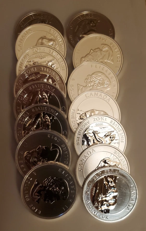 Silber 999, Polarbär, 15 Stück in Tube, je 1 1/2 OZ 2013 - Bild 4 von 4