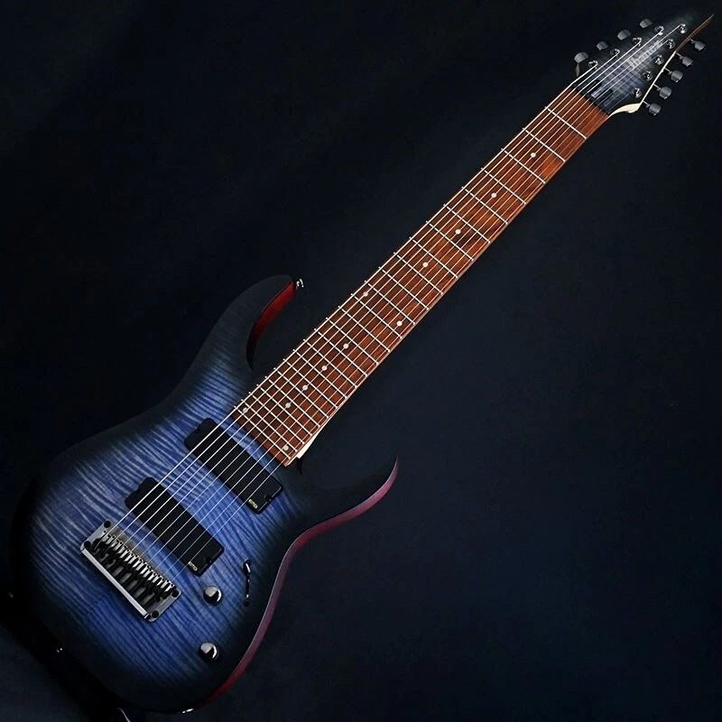 Ibanez Iron Label RGIR9FME FDF SPOT MODEL 9 string Electric Guitar