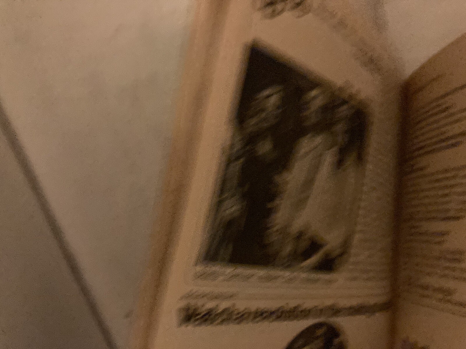 Picture 7 of 7
