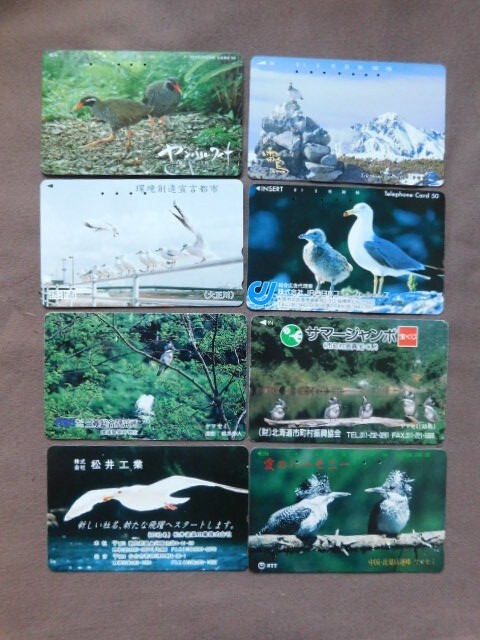 Foto 1 di 1