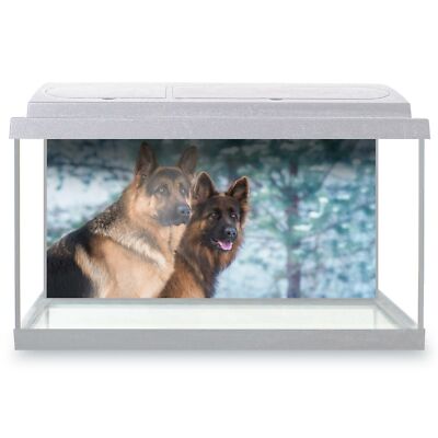 german shepherd fish
