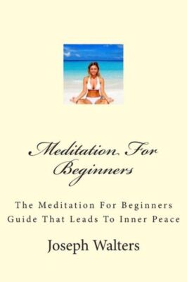 Meditation For Beginners: The Meditation For Beginners Guide That Leads To ...