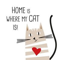 20 Servietten Home Cat - Zuhause Und Katze 33X33Cm