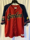 Jeff Gordon Nascar Dupont Chase Authentics Baseball Jersey Mens XL
