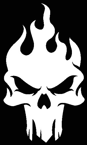 Flaming Skull sticker VINYL DECAL Biker Motorcycle Heavy Metal Death Goth - Picture 9 of 11
