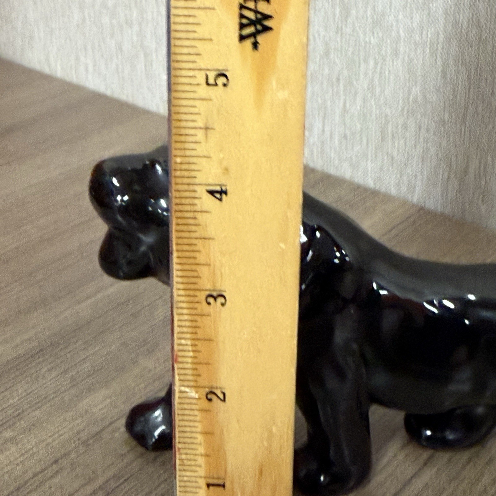 Picture 7 of 7