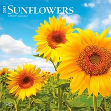 Sunflowers 2027 12x24" Hanging Monthly Square Wall Calendar Plastic-Free