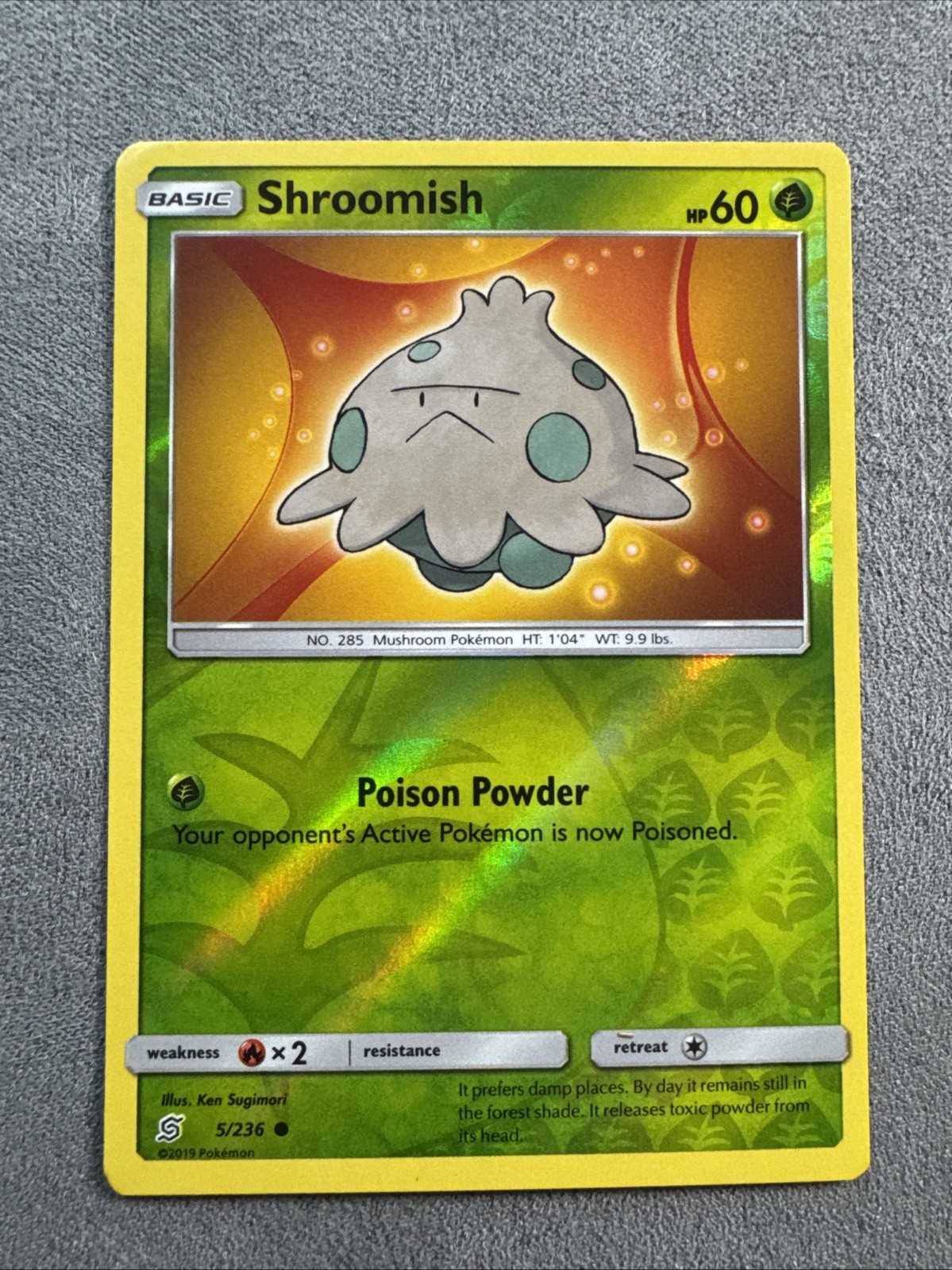 Pokemon Shroomish (5/266) Unified Minds REVERSE HOLO