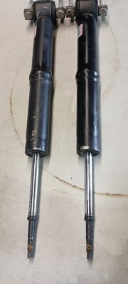 #ad OEM Ford gas shocks pair fits 2015 2017 F150 Truck $26.00