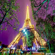 Cityscape 10'x10' Computer-painted CP Scenic Photo Background Backdrop BHF988