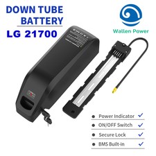 52V 48V 25Ah LG Lithium Ebike Battery Hailong...