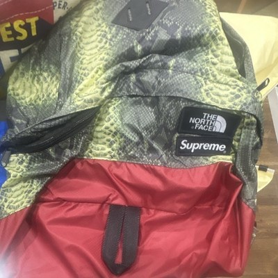 Supreme x The North Face Large Snake Print Backpack Green Red Black Zip