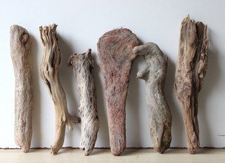 Treibholz Schwemmholz Driftwood 6 knorrige Hölzer Basteln 27 36 cm