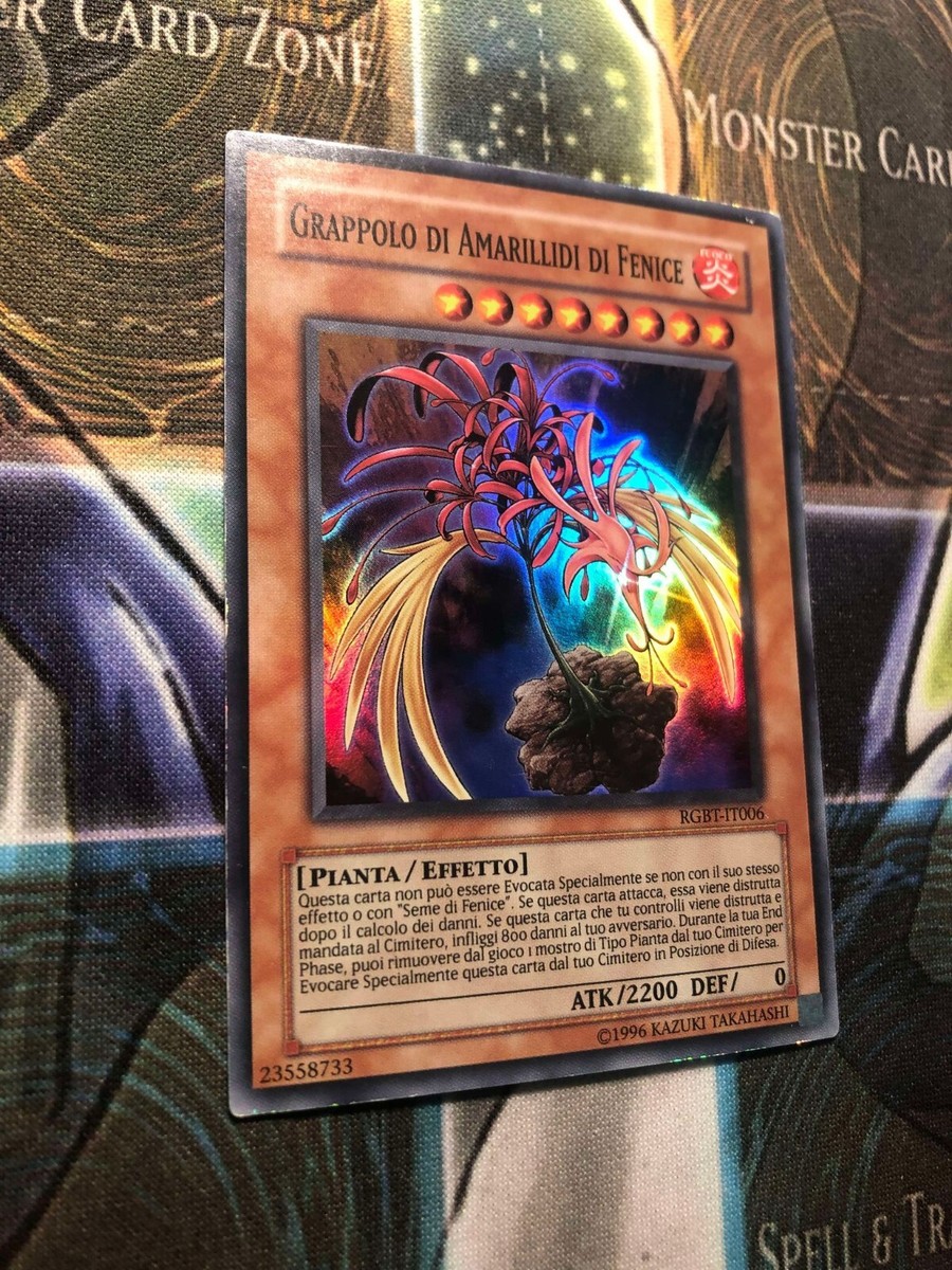 PHOENIXIAN CLUSTER AMARYLLIS *** (ITALIAN) SUPER RARE RGBT-EN006