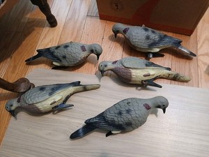 Vintage Dove Decoy Realistic Clip On Plastic set of 5 In Excellent Condition