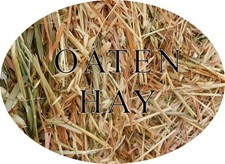 Oaten Hay Australian Grown - Rabbit Bunny guinea pig chickens feed 1kg-3kg