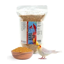 Morning Bird Red Proso Millet Bird Seeds – Healthy & Nutritious Pet Bird Food
