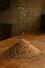 DRIED LENTILS Bean Bulk Wholesale Size Lot 2 4 6 10 18+ LBs PANTRY DINER KITCHEN