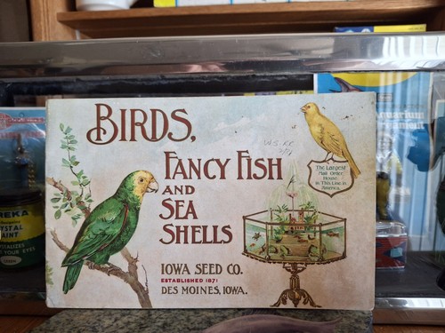 Vintage Aquarium Rare Original Iowa Bird Seed Tropical Fish & Supplies Catalog