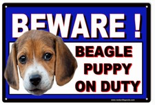 Vintage Style Metal Sign Beware Beagle Puppy Duty 8x12