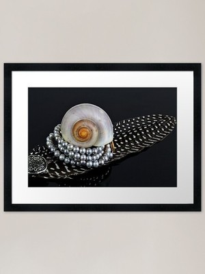Muschel, Feder und eine Perlenkette gerahmtes Wandbild Poster Leinwandbild Bild
