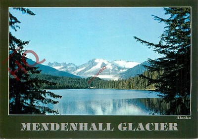 Ansichtskarte:;Alaska, Juneau Eiskappe und der berühmte Mendenhall Gletscher