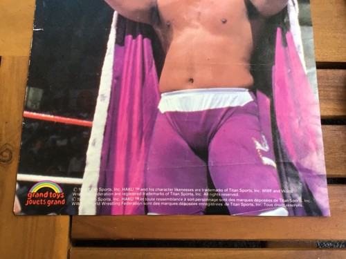 WWF HAKU WRESTLING SUPERSTARS ACTION FIGURE/POSTER LJN 1989 BLACK CARD SERIES 6 - Picture 5 of 14
