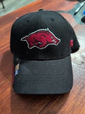 Arkansas Razorbacks Rydell Snapback Ball Cap
