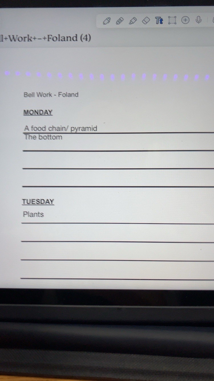 Nike Dunks - image 8