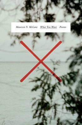 What You Want Maureen N. Mclane Taschenbuch Englisch 2024 FSG Adult