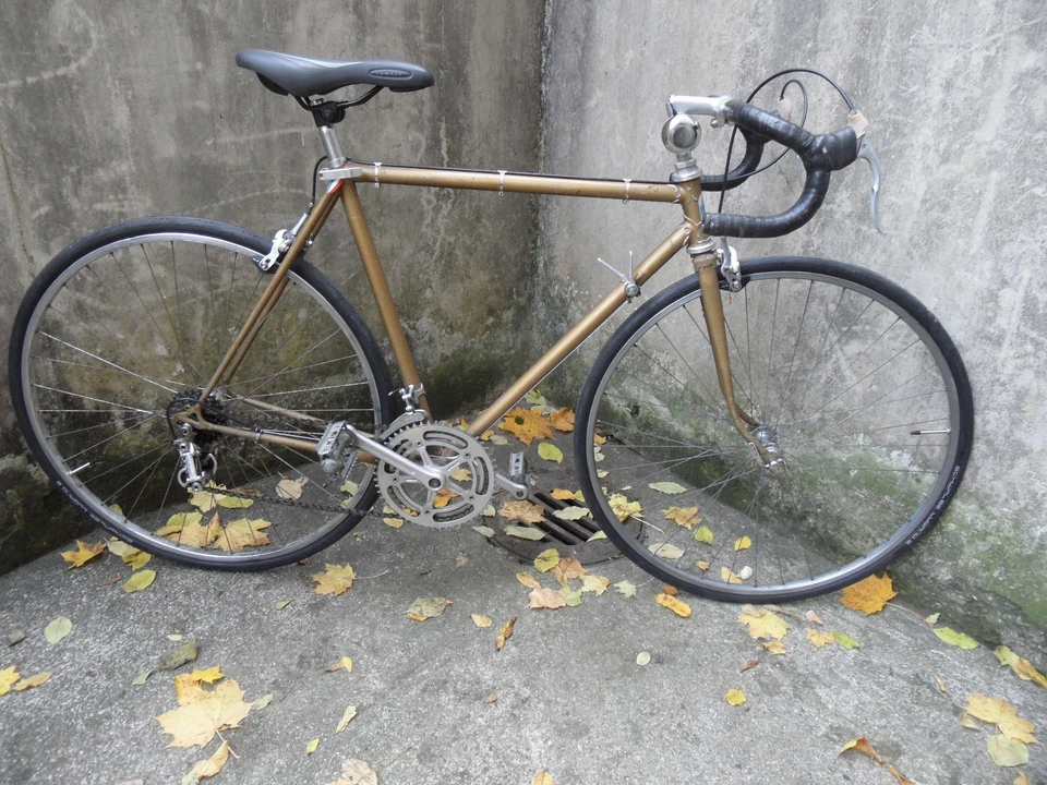 Rennrad mit CAMPAGNOLO Komponenten (ANDRE BERTIN) 28 Zoll