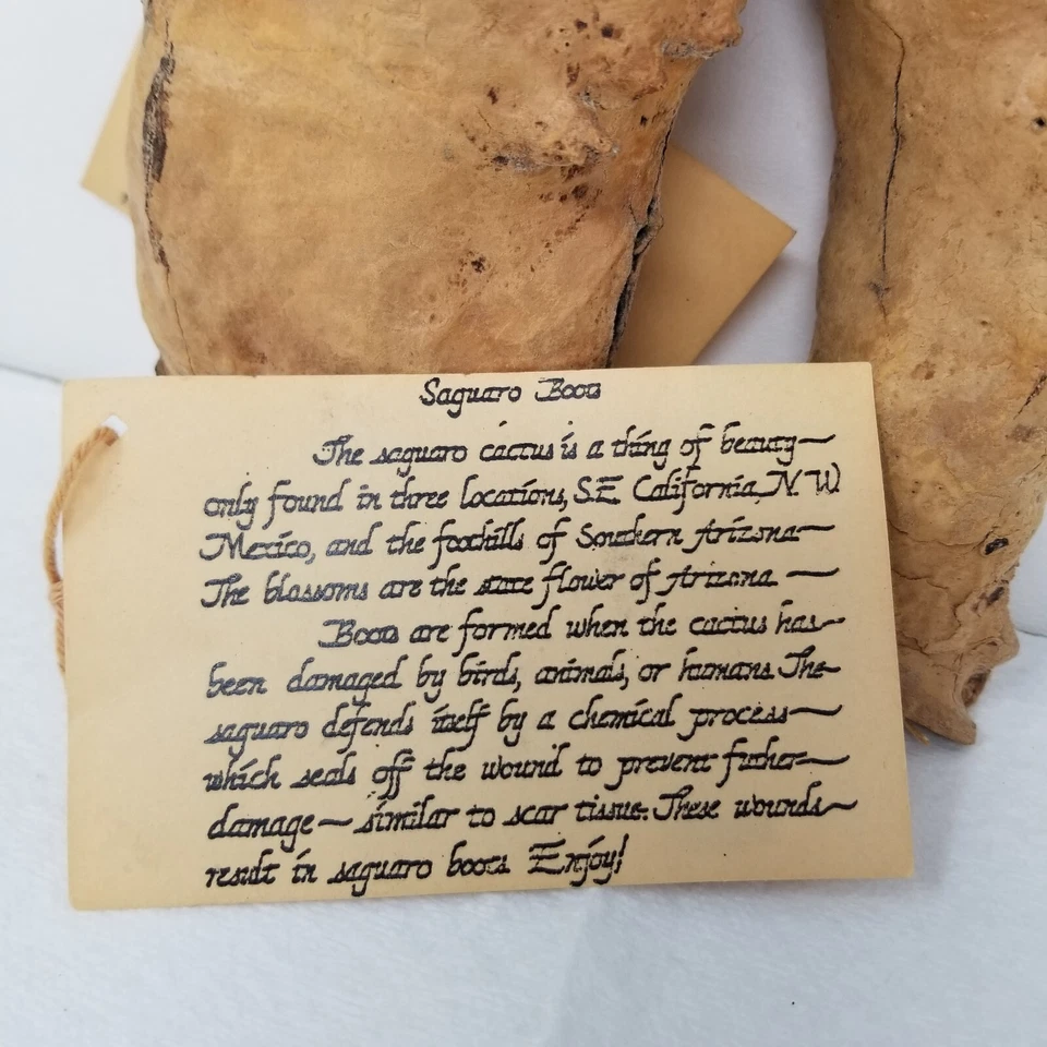 Saguaro Cactus Boot Birdhouses Handcrafted Feather Rustic Southwestern Decor - Image 4 of 4