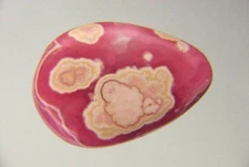 BUTW Argentine AAA Grade Rhodochrosite Free Form Lapidary Gemmy Cabochon 6185P