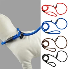 5ft Slip Lead Dog Leash for Small Medium Dogs Nylon Rope Pet Collar Training S-L