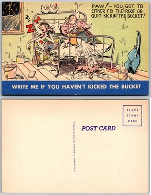 Write Me If You Havent Kicked The Bucket Postcard