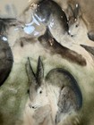 Antique Majolica Rabbit Plates Choisy le Roi France (as is) — photo 2