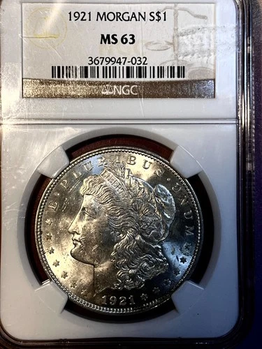 1921 P Morgan  Dollar   white NGC beautiful coin