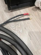 Transparent Musicwave Super 10ft Speaker Cable Spades