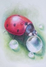 Marienkäfer Aquarell Original Natur Kunst Morgentau Frühling Glück Neubeginn FYP