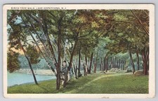Birch Tree Walk Lake Hopatcong NJ c1920s Postcard W. J. Harris NJ Mountains