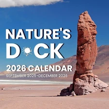 SUNEE Funny Calendar 2026 for White Elephant Gift, 2026 Large Wall calendar 12x1