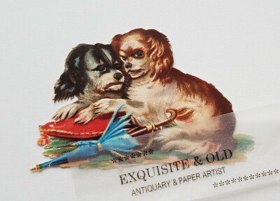 um 1900 Hunde Kissen Haustiere Glanzbild Oblate Prägedruck Luxuspapier Ephemera
