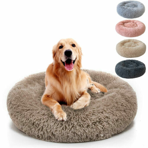 stuft brand dog bed