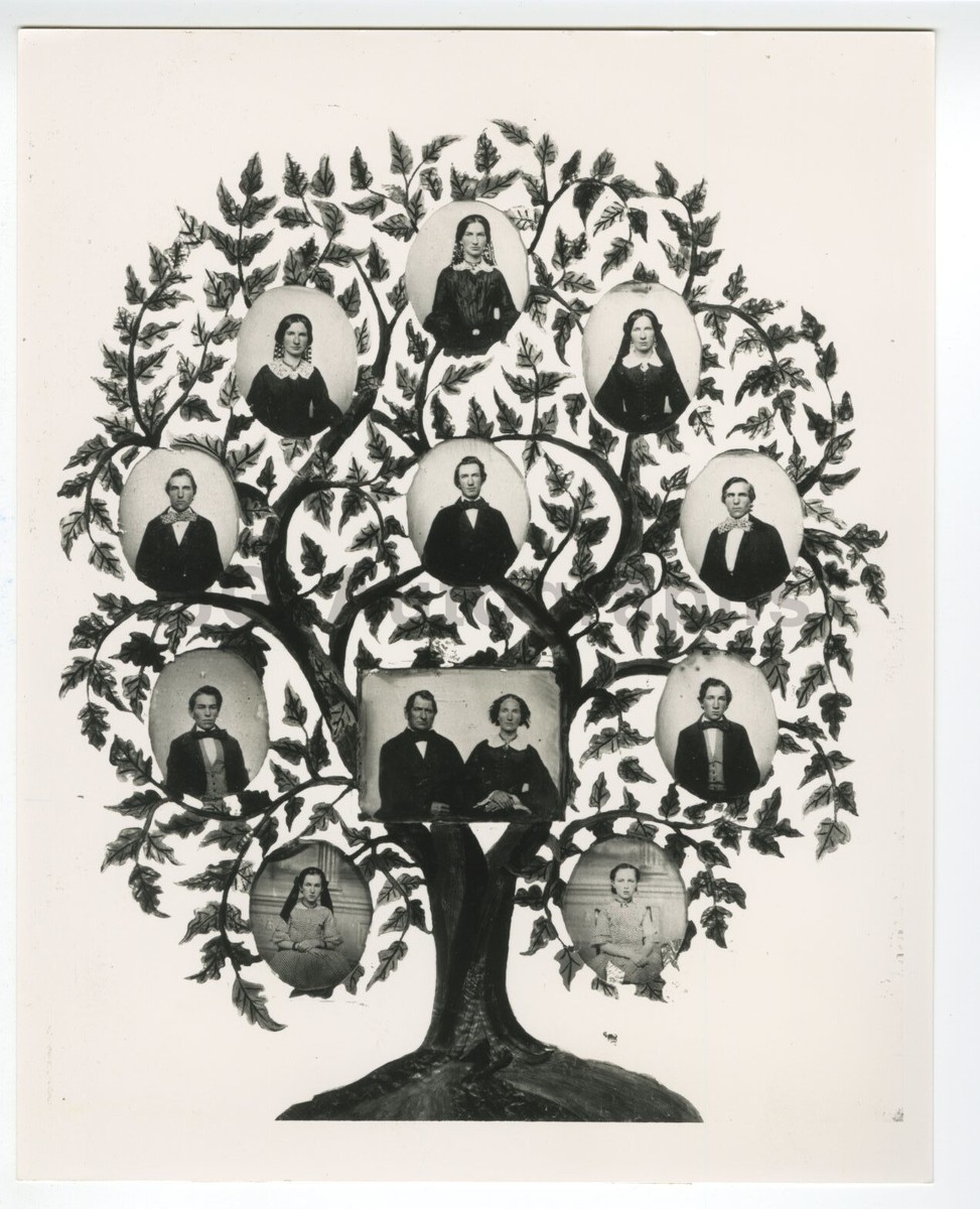 19th Century American History - Family Tree - Vintage 8x10 Inch