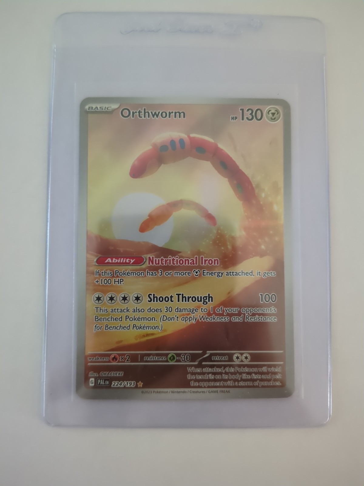 Orthworm Holo Rare Sv02 Paldea Evolved Pokémon TCG Card 224/193 NM Condition