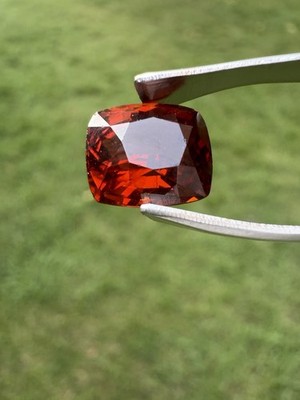 Masterpiece Collection: Square Faceted AAA Natural Bright Garnet 5.90ct