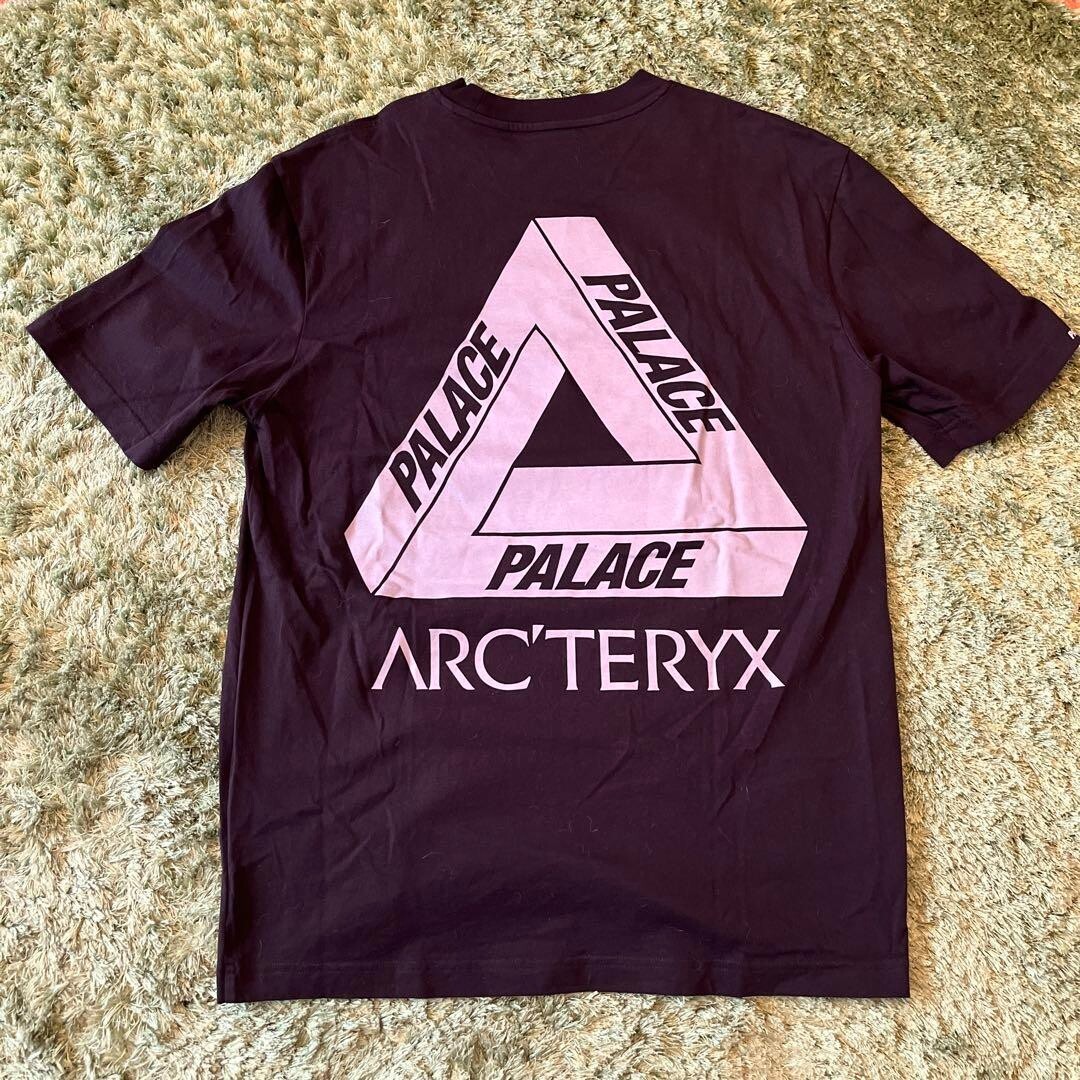 Arc'teryx Palace collaboration T-shirt L size 2307M | eBay Arc'teryx Palace collaboration T-shirt L size 2307M | eBay