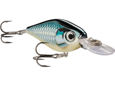 NEU Rapala X-Light Shad 4cm 4g Köder Wobbler Hecht Barsch Zander