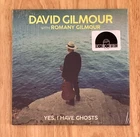 David Gilmour - Yes, I Have Ghosts 7” Record Pink Floyd