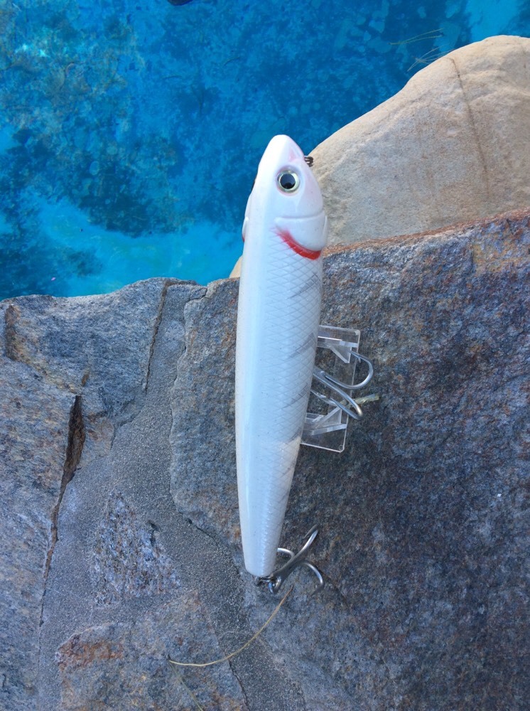 8" MAGNUM PUPFISH TopWater SWIMBAIT Lure In GREAT WHITESHORE COLOR!!! - Image 3
